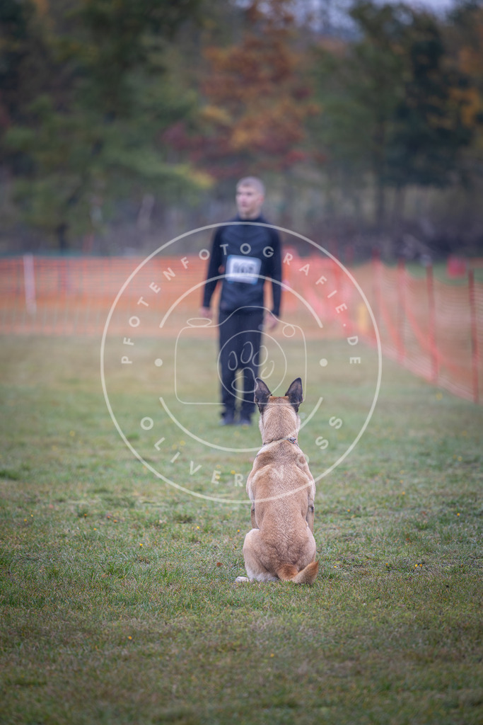 Pfotenfotografie_DV3A8924 | Hundefotografie, Tierfotograf, Pfotenfotografie, Fotoshooting Hund, Hunde Portrait, Hundesport, Hundeportraits, Heideshooting, Hunde, Sportfotograf, Hundefotograf, Turnierhundsport, THS,  - Realisiert mit Pictrs.com