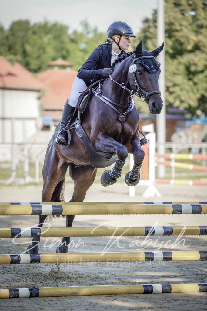 20250906-_3LI3014 | Tierfotografie Pferde, Hunde, Katzen, Haustiere.
Turnierfotografie Reitturniere, Reiten, Springreiten, Dressur in Hanau, dem Main-Kinzig-Kreis und dem Rhein-Main- Gebiet um Frankfurt