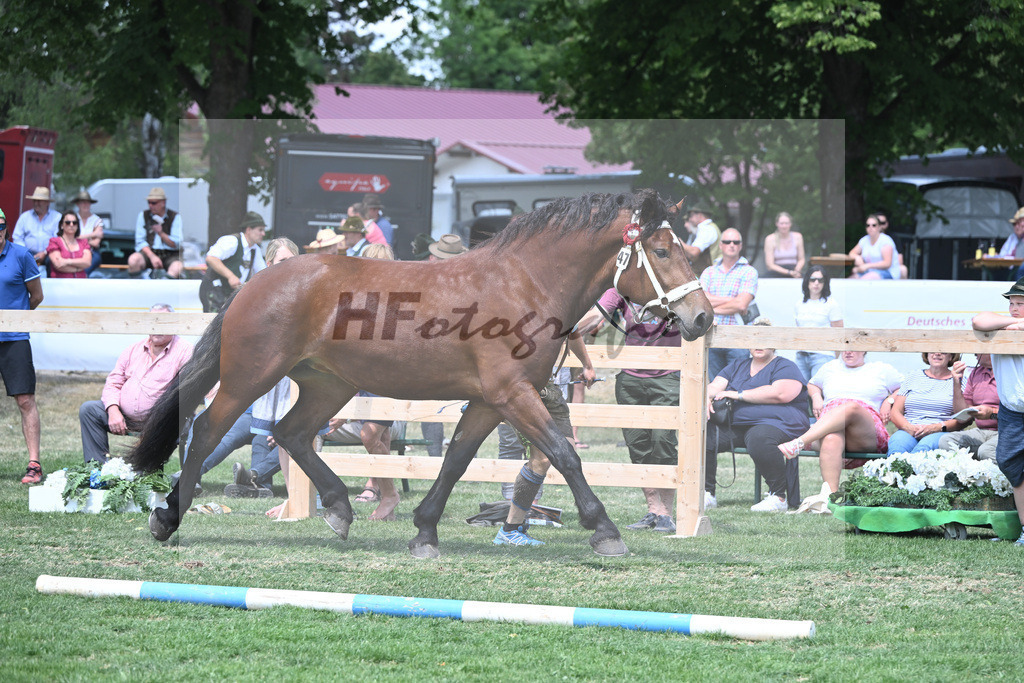 Kat-Nr. 47 Nymphenburg_Huber_20230749 | hf-fotografie - Realisiert mit Pictrs.com