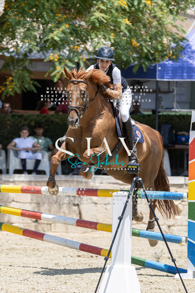 IMG_6919 | s-jay-photography - Realisiert mit Pictrs.com