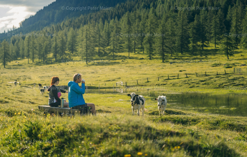 Wandern_Karnische_Milchstrasse_2020-46 | piet_flosse