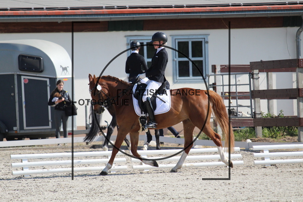 IMG_2231 | franziskalange - Realisiert mit Pictrs.com