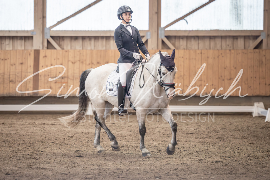 20251011-_3LI0561 | Tierfotografie Pferde, Hunde, Katzen, Haustiere.
Turnierfotografie Reitturniere, Reiten, Springreiten, Dressur in Hanau, dem Main-Kinzig-Kreis und dem Rhein-Main- Gebiet um Frankfurt