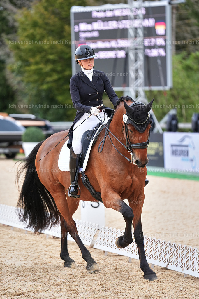 11-189-Dressur S___-Marixx-1789 | working equitationturnier fotograf videograf stoibphotography marixx film working equitation deutschland reitsport turnierfotografie eventfotografie equestrian events