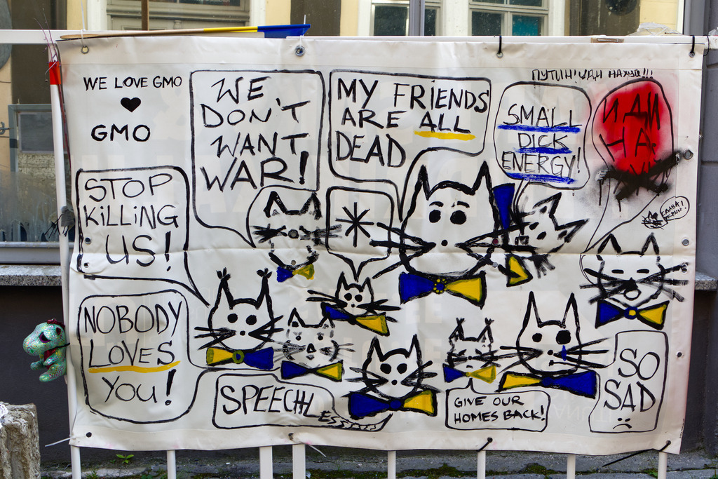 IMG_2658 | ansichtssache