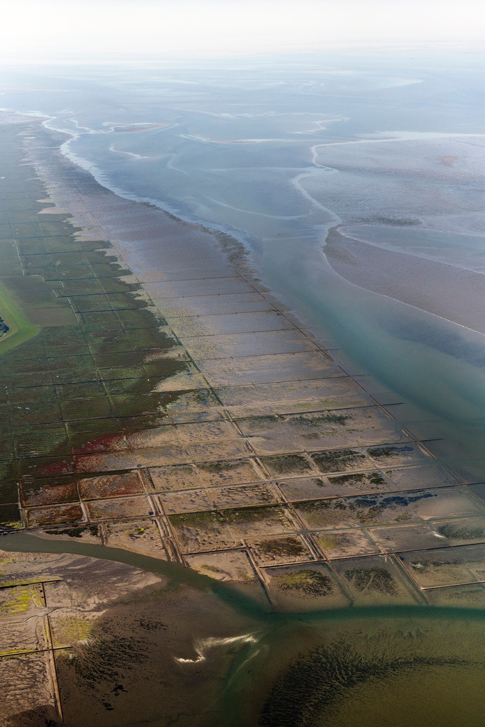 dr__0202026.jpg | PELLWORM 06.09.2023 Sandbank- Landfläche durch Strömungen unter der Meeres- Wasseroberfläche vor Südfall und Pellworm im Bundesland Schleswig-Holstein, Deutschland.