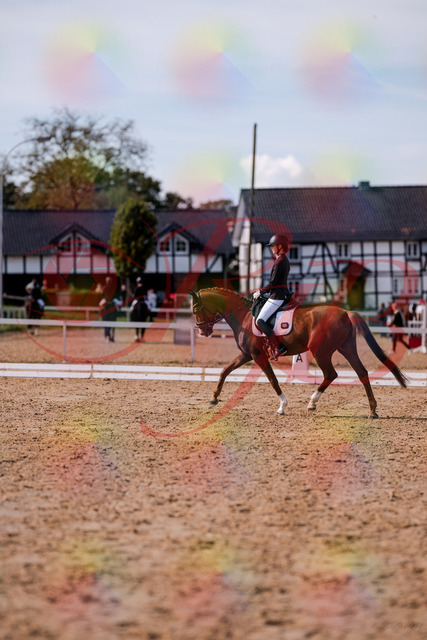2026_10_03_Siefer-Hof_133055_Z81_84090550 | Professionelle Reitsport-, Turnier- und Eventfotografie von Robert Broda. Galerien mit ausgewählten und bearbeiteten Bildern direkt online ansehen und bestellen.