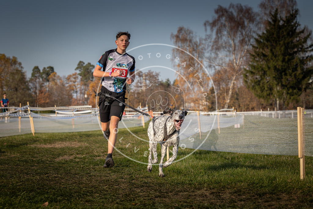 CaniXpix_0L8A9599 | Hundefotografie, Tierfotograf, Pfotenfotografie, Fotoshooting Hund, Hunde Portrait, Hundesport, Hundeportraits, Heideshooting, Hunde, Sportfotograf, Hundefotograf, Turnierhundsport, THS,  - Realisiert mit Pictrs.com