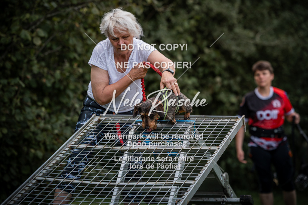 nelerasche_SoLauf_58 | nelerasche