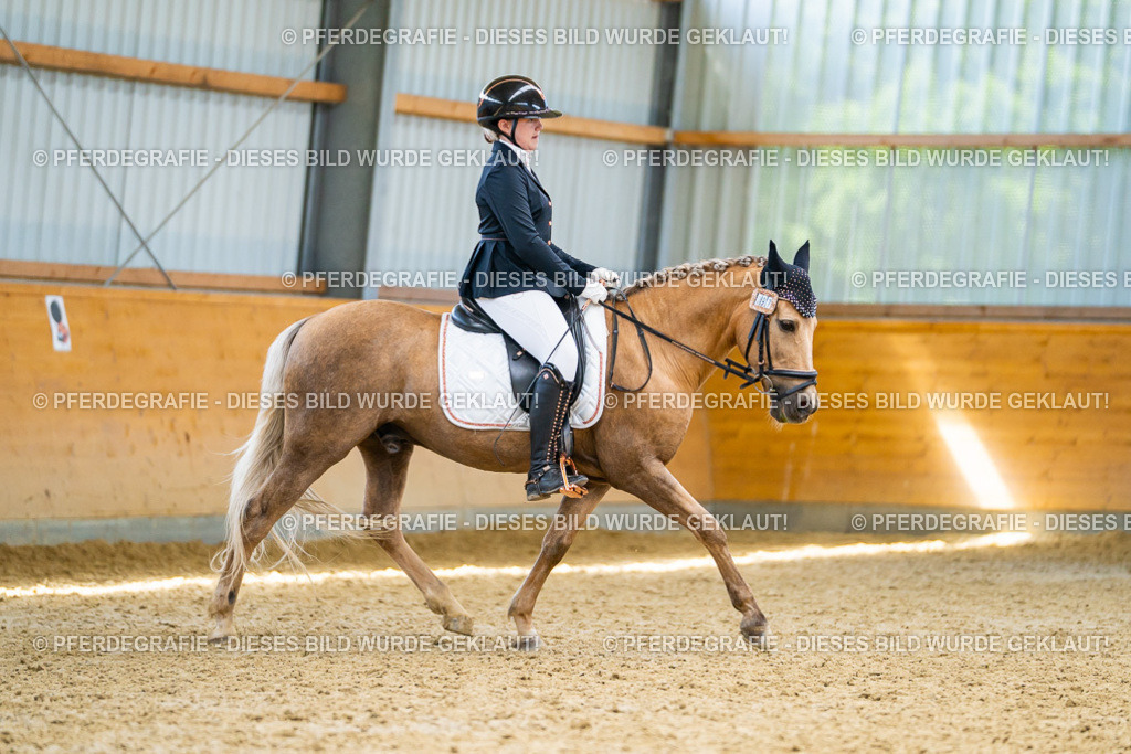 DSC09216 | Pferdegrafie