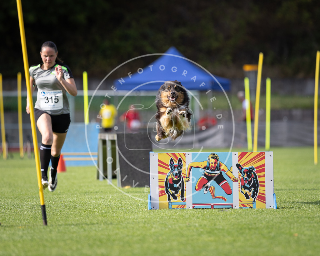 Pfotenfotografie_DV3A1859 | Hundefotografie, Tierfotograf, Pfotenfotografie, Fotoshooting Hund, Hunde Portrait, Hundesport, Hundeportraits, Heideshooting, Hunde, Sportfotograf, Hundefotograf, Turnierhundsport, THS,  - Realisiert mit Pictrs.com