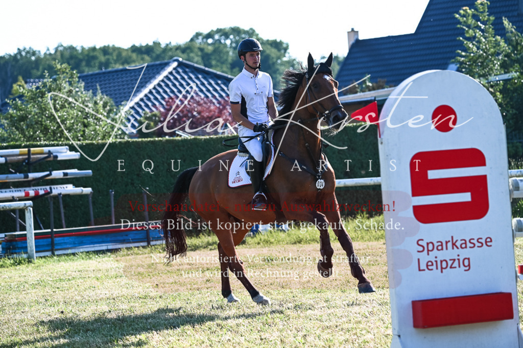 DSC_2671 | Pferde- und Turnierfotografie in Westsachsen. Pferdeportraits, Auftragszeichnungen und intuitive Kunst.