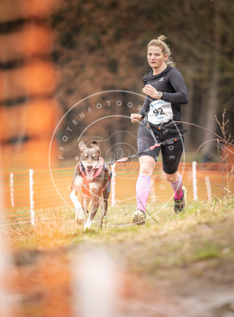 DV3A0415 | Hundefotografie, Tierfotograf, Pfotenfotografie, Fotoshooting Hund, Hunde Portrait, Hundesport, Hundeportraits, Heideshooting, Hunde, Sportfotograf, Hundefotograf, Turnierhundsport, THS,  - Realisiert mit Pictrs.com