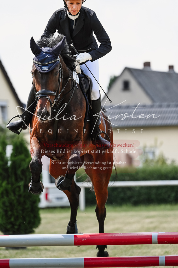 DSC_8760 | Pferde- und Turnierfotografie in Westsachsen. Pferdeportraits, Auftragszeichnungen und intuitive Kunst.