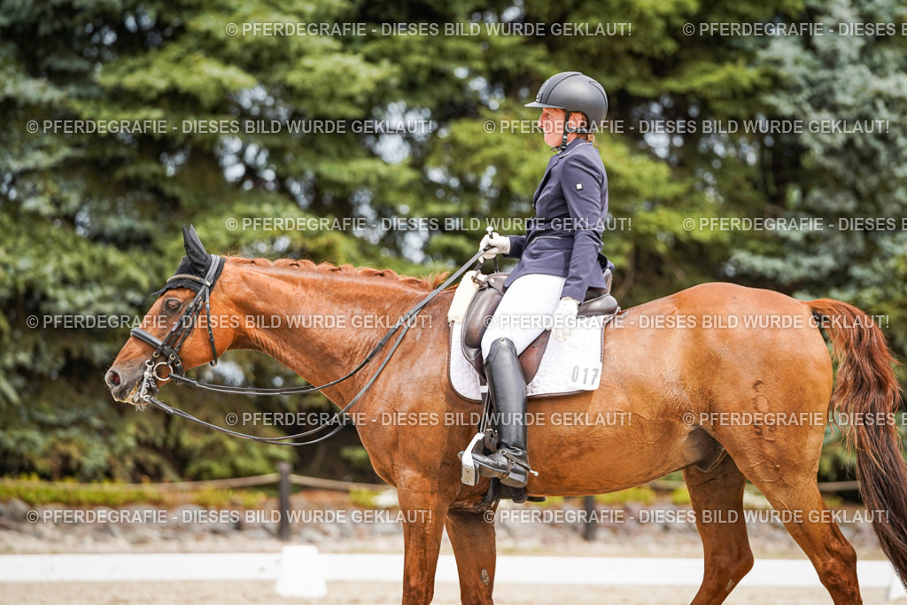 DSC05068 | Pferdegrafie