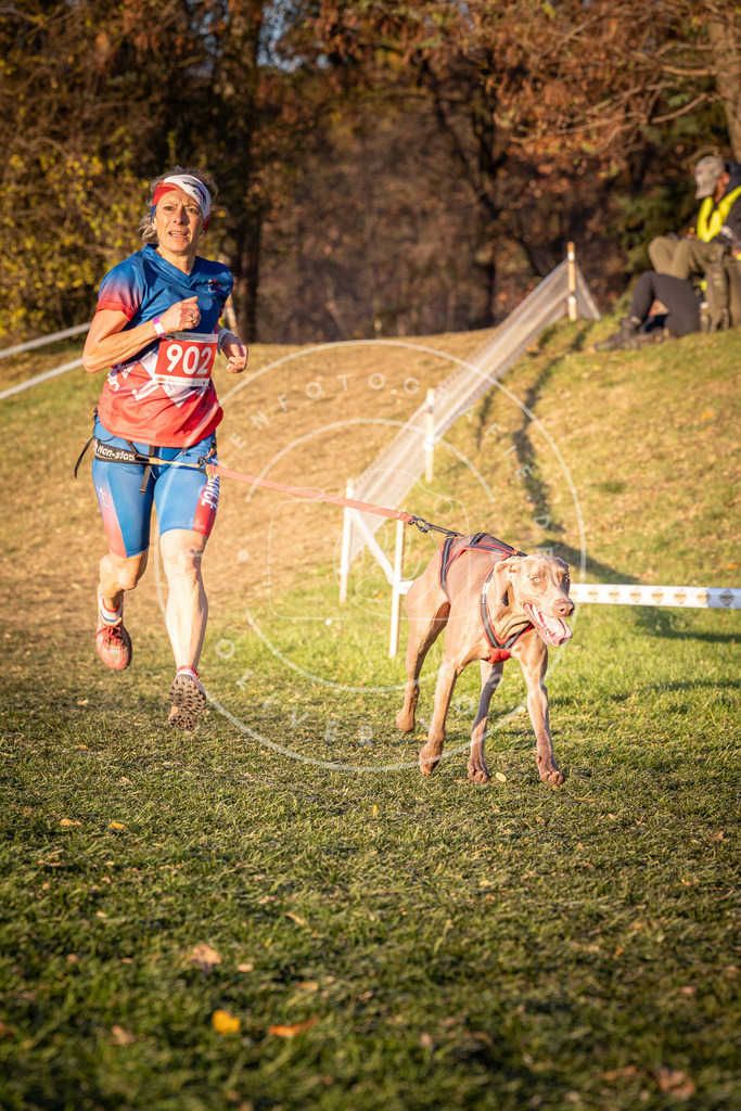 CaniXpix_0L8A1306 | Hundefotografie, Tierfotograf, Pfotenfotografie, Fotoshooting Hund, Hunde Portrait, Hundesport, Hundeportraits, Heideshooting, Hunde, Sportfotograf, Hundefotograf, Turnierhundsport, THS,  - Realisiert mit Pictrs.com