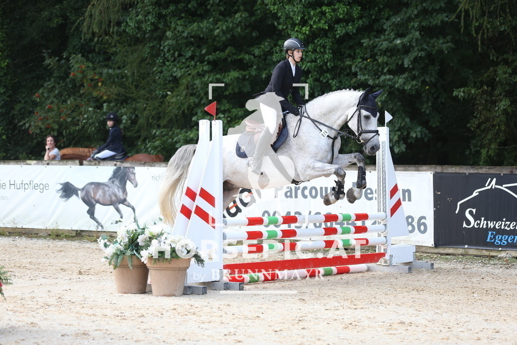 AS8V1166 | Willkommen bei Brunnmayr - Design & Fotografie – Ihrem Spezialisten für Reitturniere und Pferdeveranstaltungen in Oberösterreich, Salzburg und Bayern! Seit über 17 Jahren sind wir leidenschaftlich dabei.