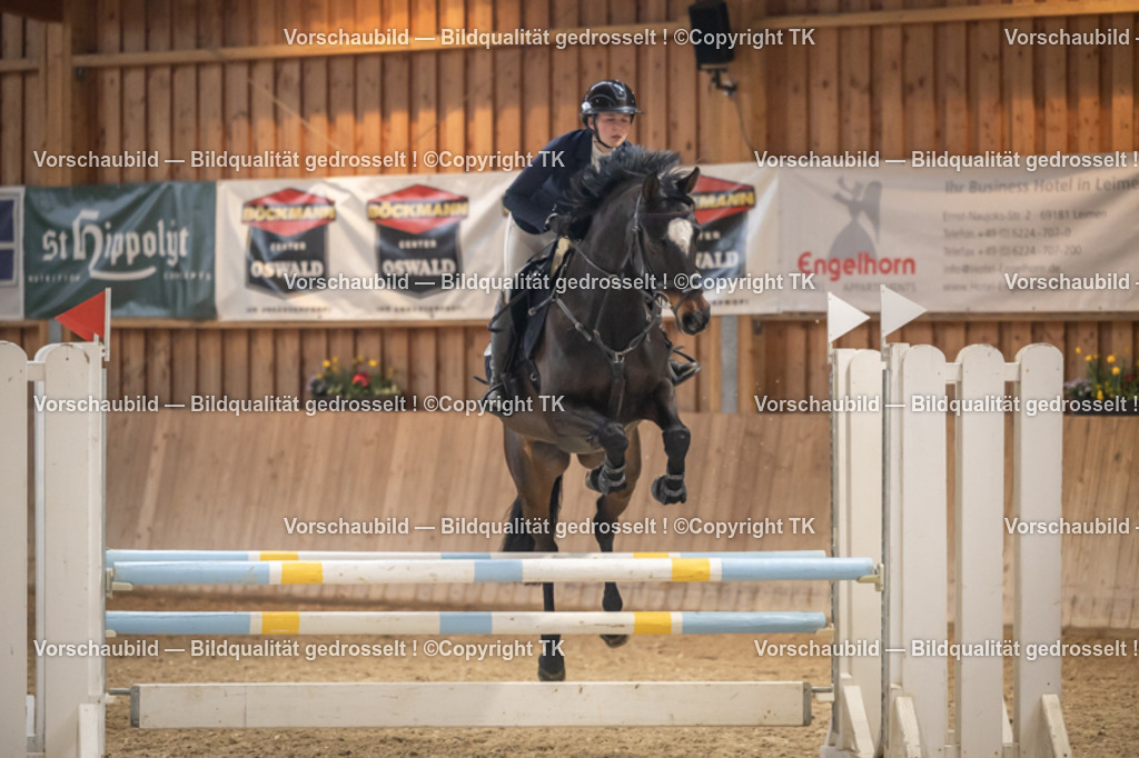 _D5A8099 | Emotionale Pferde- & People-Fotografie rund um Heidelberg, Leimen & Umgebung. Natürliche Fotos von Pferd, Mensch & Familie. Jetzt Termin sichern!