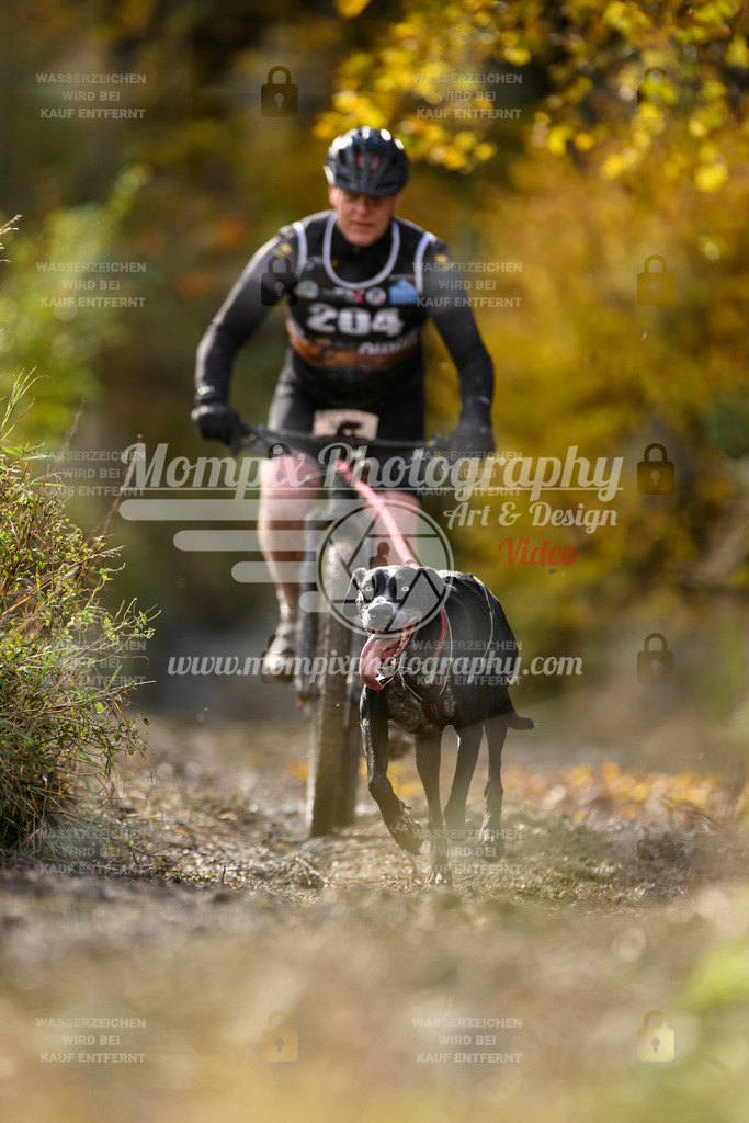 MompixPhotography_ICF_WC_2024_SA_Bike_-328 | PayLife