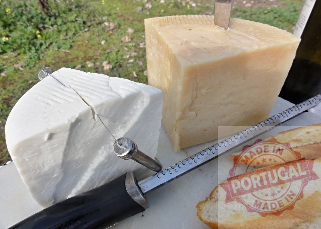 Picnic with two kinds of cheese and baguette slices | Assorted cheese blocks with a cheese slicer and grater, ready for an outdoor picnic - Realisiert mit Pictrs.com