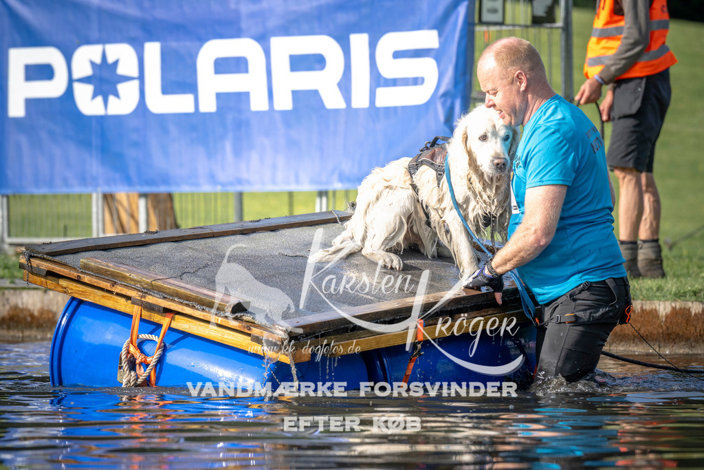 _ZZ942190713 | kk-dogfotos