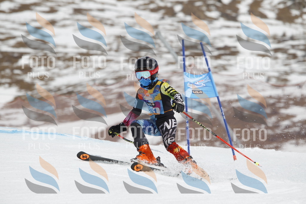 _U3G2698 | holidayphoto