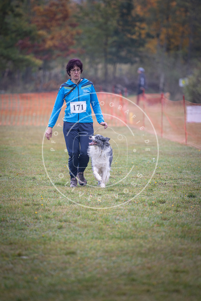 Pfotenfotografie_DV3A9143 | Hundefotografie, Tierfotograf, Pfotenfotografie, Fotoshooting Hund, Hunde Portrait, Hundesport, Hundeportraits, Heideshooting, Hunde, Sportfotograf, Hundefotograf, Turnierhundsport, THS,  - Realisiert mit Pictrs.com