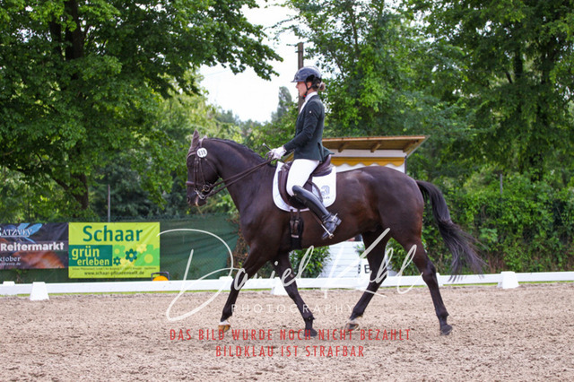 DKP41253 | Turnierfotos kaufen im Webshop von Daniel Kuhl Photography – entdecke professionelle Reitsportfotos aus Turnieren & Events. Hochwertige Turnierbilder online bestellen & sichern. Jetzt Fotos von Reitsportturnieren kaufen!