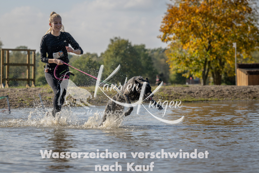 1416_ZZ91984 | kk-dogfotos