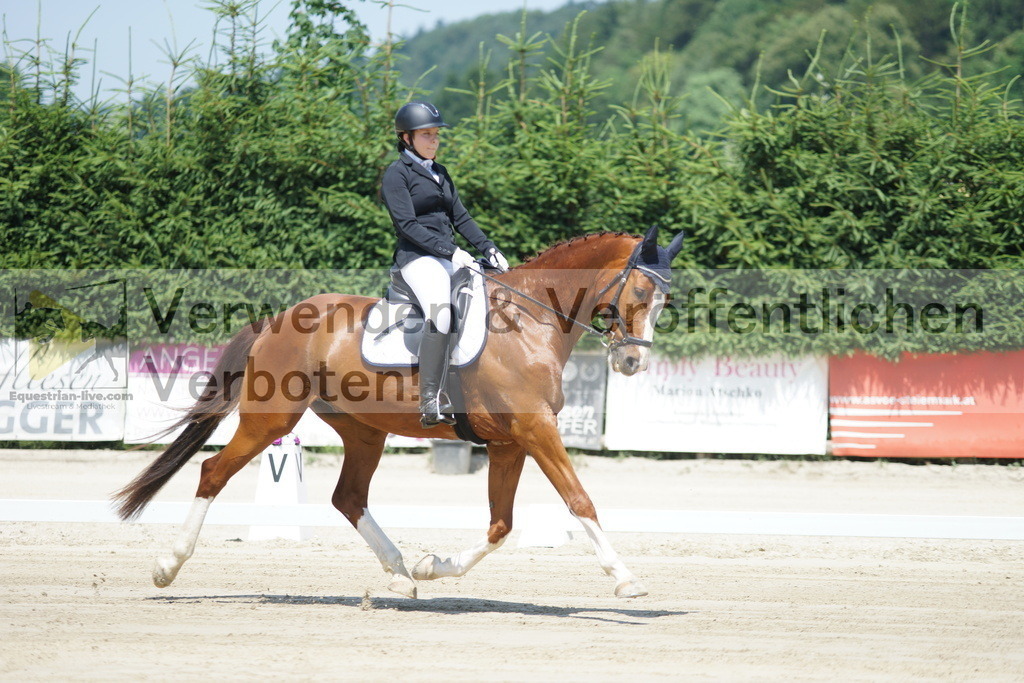 DSC04755 | equestrian-live-com