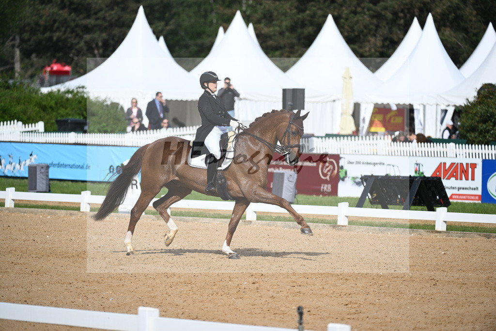 Rhomberg-Rochelt_D Rex RR_12241594 | hf-fotografie - Realizzato con Pictrs.com