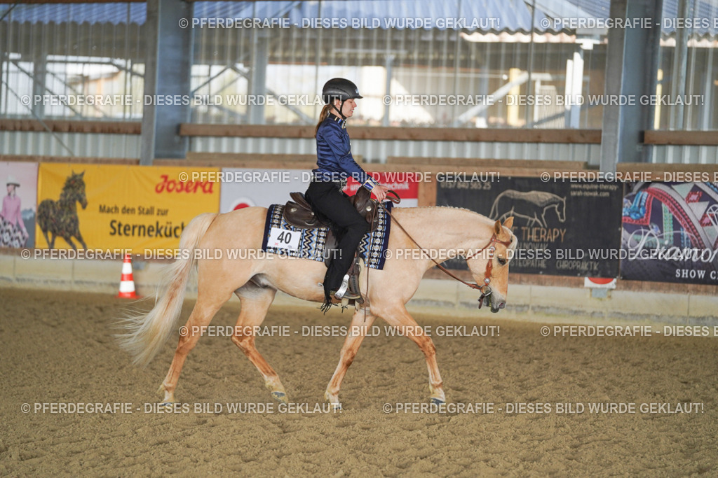 DSC09291 | Pferdegrafie