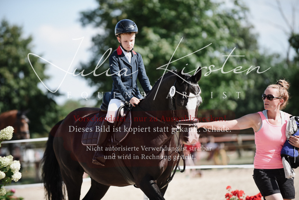 DSC_9888 | Pferde- und Turnierfotografie in Westsachsen. Pferdeportraits, Auftragszeichnungen und intuitive Kunst.