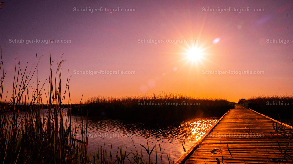 Steg im Sonnenuntergang | Steg im Sonnenuntergang - Realisiert mit Pictrs.com