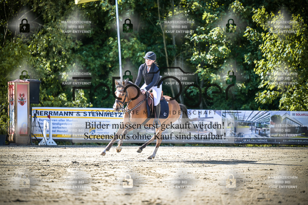 DOS_7438 | Entdecke hochwertige Reitturnierfotos von Foto Oger. Professionell, emotional und authentisch – jetzt Lieblingsmomente im Shop bestellen.Deutschlandweite Turnierfotografie. - Realisiert mit Pictrs.com
