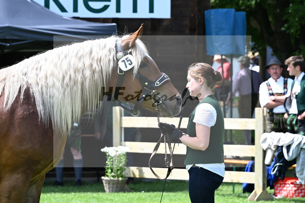 Kat-Nr. 75 Melodie v. Voithberg_Ober_22241319 | hf-fotografie - Realizzato con Pictrs.com