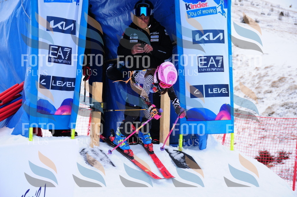 DSC_7529 | holidayphoto