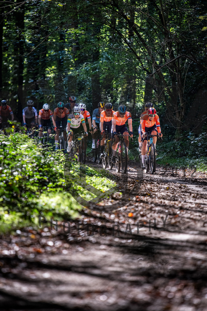 DKP-4905 | Drew Kaplan Photography