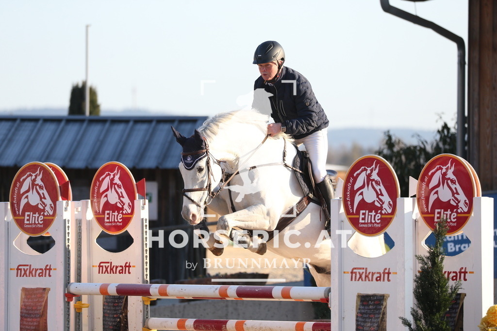 AS8V2445 | Willkommen bei Brunnmayr - Design & Fotografie – Ihrem Spezialisten für Reitturniere und Pferdeveranstaltungen in Oberösterreich, Salzburg und Bayern! Seit über 17 Jahren sind wir leidenschaftlich dabei.