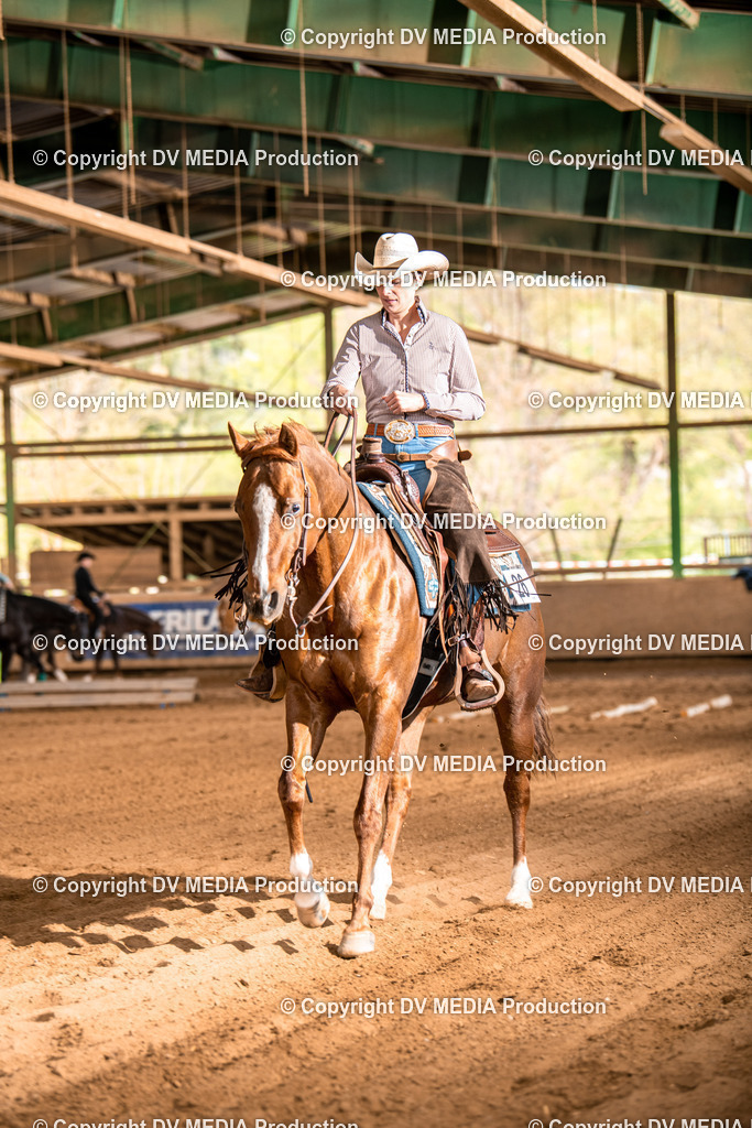 Balingen Tag 2-1081 | dv-media-shop - Realisiert mit Pictrs.com