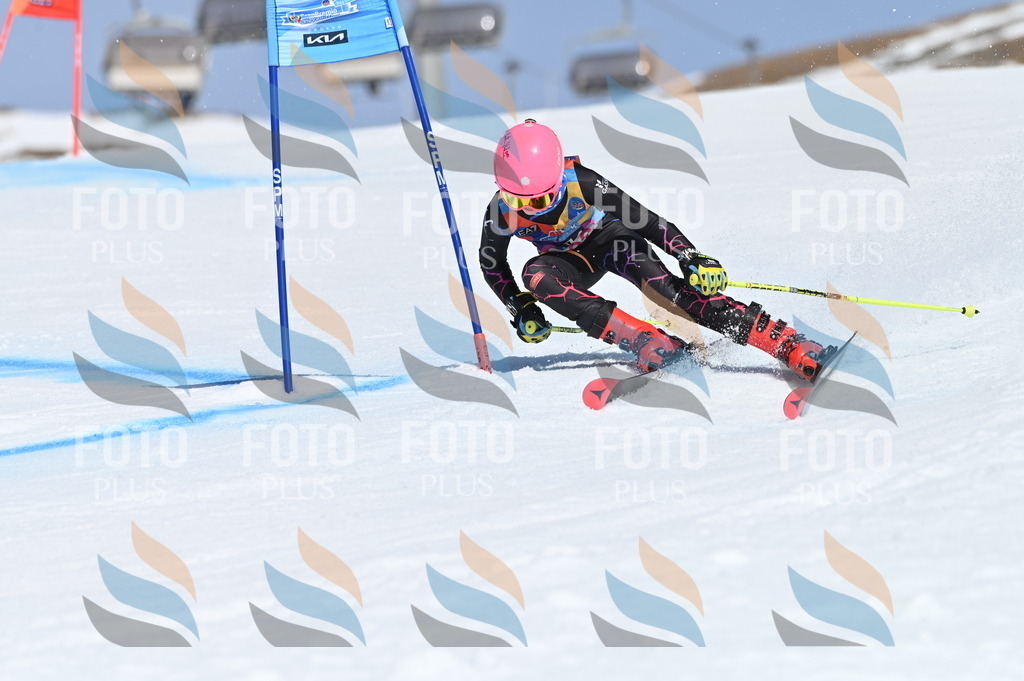 BGV_0019 | holidayphoto