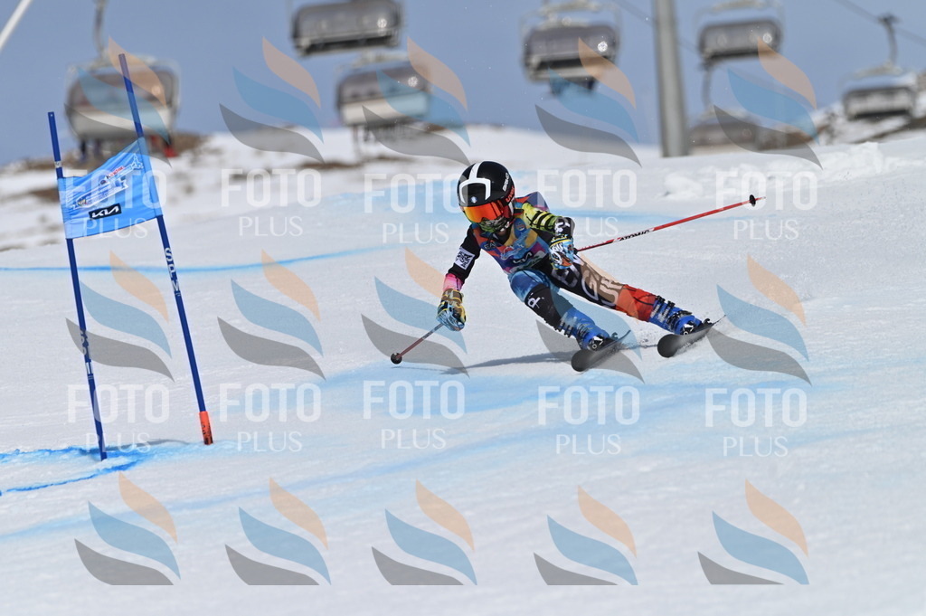 BGV_3472 | holidayphoto