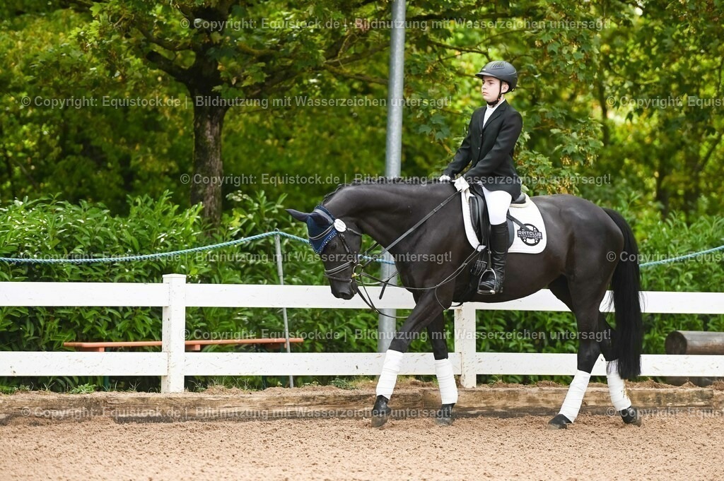 20230716_10-1_Reiter-WB Schritt - Trab - Galopp_0024 | equistock