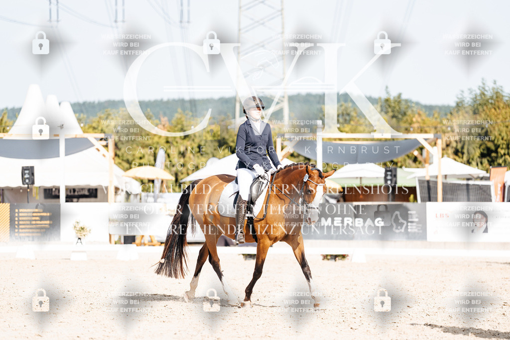 CK905346 | Turnierfotografie Pferdefotografie Trier Rheinland-Pfalz Pferdesport Reitsport Tierfotografie Sportfotografie Pferdevideo Pferdevideografie Equestrianvideography equestrianphotography  - Realisiert mit Pictrs.com