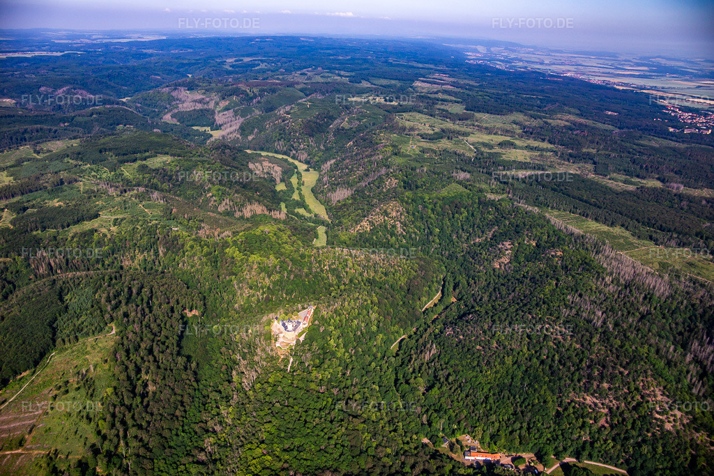 Luftbild: Burg Falkenstein (Harz) im Ortsteil Pansfelde in Falkenstein im Bundesland Sachsen-Anhalt in Deutschland. Foto: IMG_136756.jpg vom 18.06.2023 durch Werner Riehm/FLY-FOTO.deBurg Falkenstein - Kulturstiftung Sachsen-Anhalt