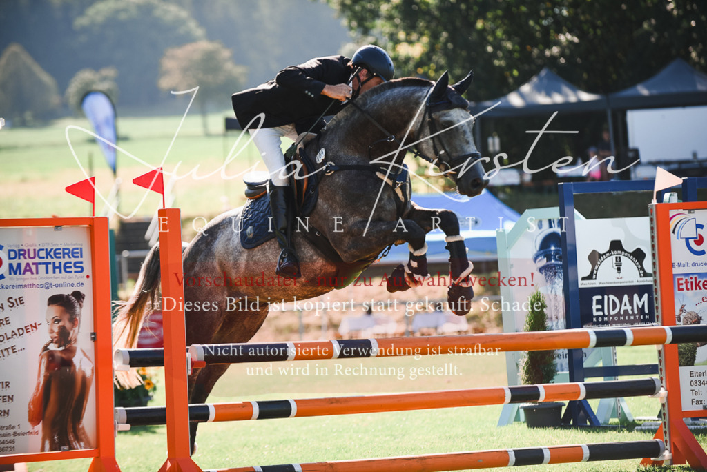 DSC_2362 | Pferde- und Turnierfotografie in Westsachsen. Pferdeportraits, Auftragszeichnungen und intuitive Kunst.