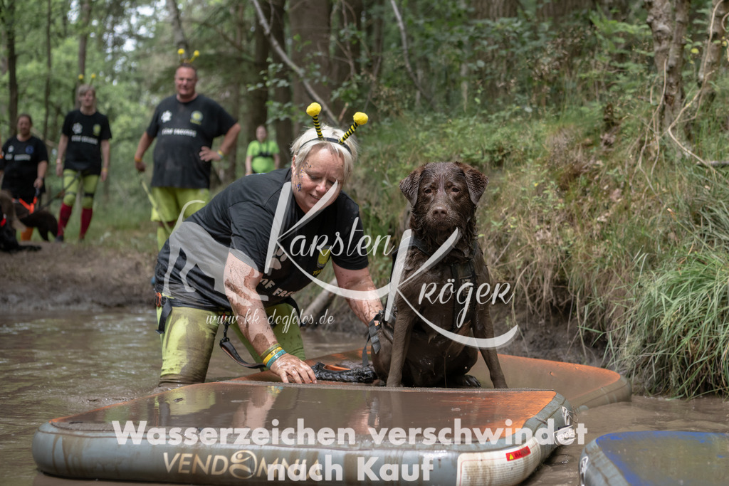 1336_ZZ94917 | kk-dogfotos