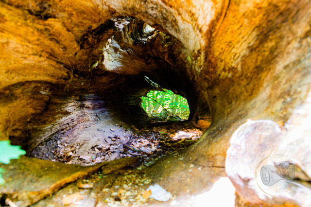 _DSC6008 | Shop für Prints Landschaftsfotografie Sächsische Schweiz Naturfotografie in Thüringen Fotos vom Findlingspark Nochten Kloster Sankt Marienstern Bilder Festung Königstein PanoramaRhododendronpark Kromlau FotogalerSchleswig-Holstein Küstenlandschaften