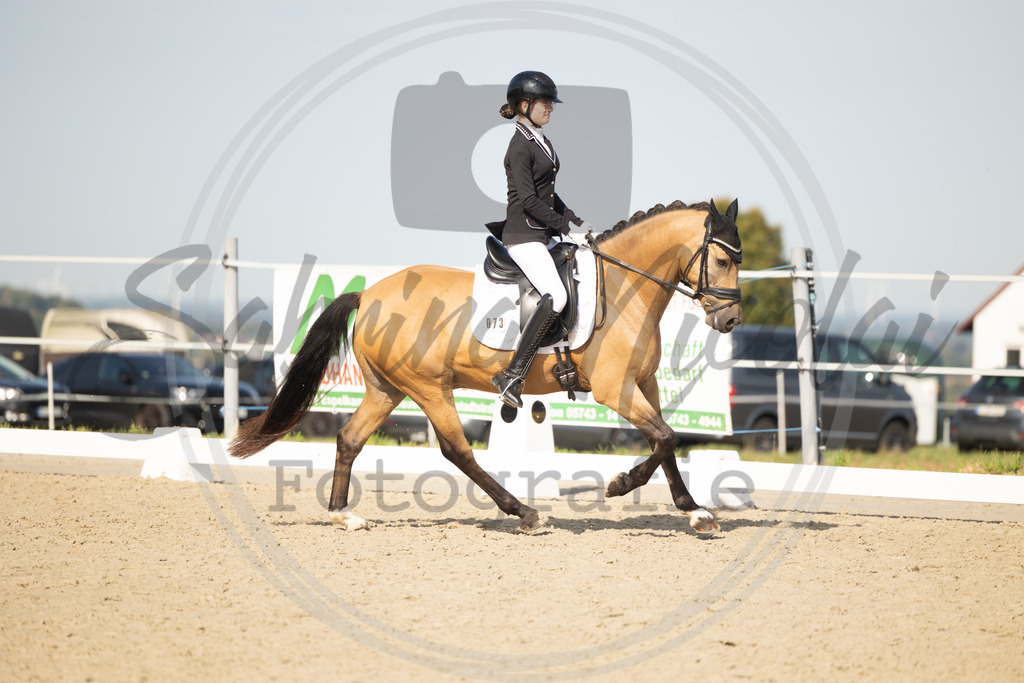 994A1622 | sabrinanicolaifotografie - Realisiert mit Pictrs.com