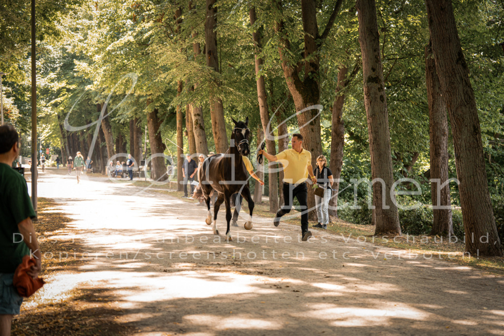 FrPfM00228 | Leoni Ertmer Photography - Realisiert mit Pictrs.com